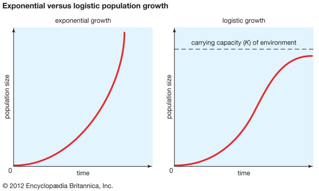 Examining How Population Growth Shapes Real Estate Markets Examining How Population Growth Shapes Real Estate Markets